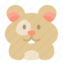 hamster, rodent, mouse, pet