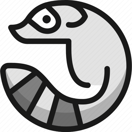 Raccoon icon - Download on Iconfinder on Iconfinder