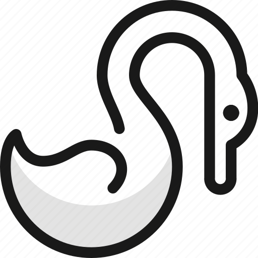 Swan icon - Download on Iconfinder on Iconfinder