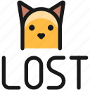 cat, lost