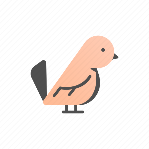 Animal, bird, cute, parakeet, parrot, pet, pets icon - Download on Iconfinder
