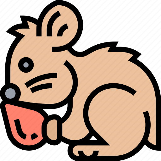 Hamster, rodent, fluffy, cute, pet icon - Download on Iconfinder