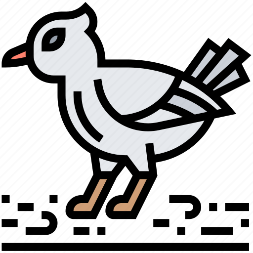 Bird, parrot, pet, domestic, animal icon - Download on Iconfinder
