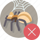 arachnophobia, spiders, fear, arachnids, dislike