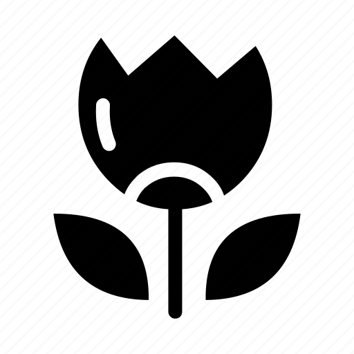 Blossom, floral, flower, rose icon - Download on Iconfinder