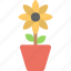 blossom, botany, ecology, plant, sunflower 