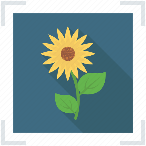 Gallery, image, photo, photography, picture icon - Download on Iconfinder