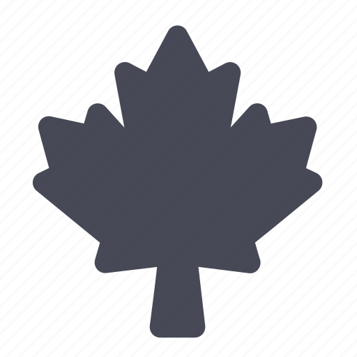 Canada, leaf, maple icon - Download on Iconfinder