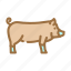 berkshire, pig, breed, pork, farm, animal 