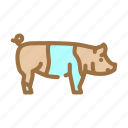 hampshire, pig, breed, pork, farm, animal