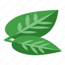 cartoon, food, herb, isometric, leaf, mint, nature