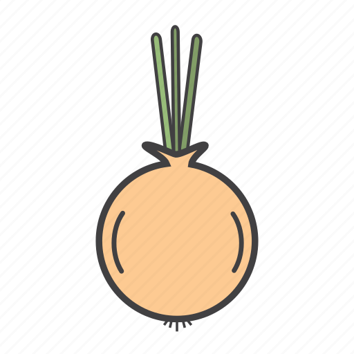 Food, ingredients, onion, pizza topping icon - Download on Iconfinder