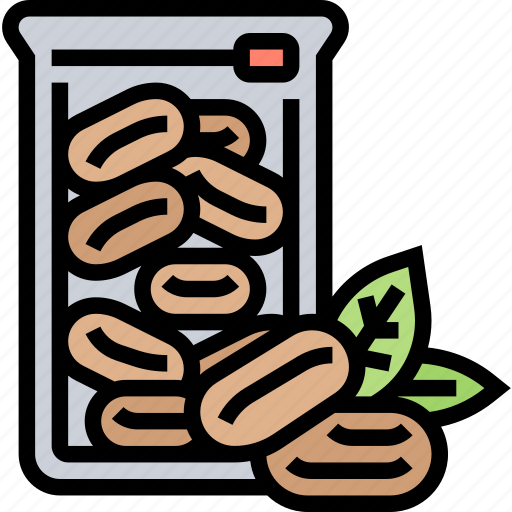 Pecans, nut, diet, snack, nutrition icon - Download on Iconfinder