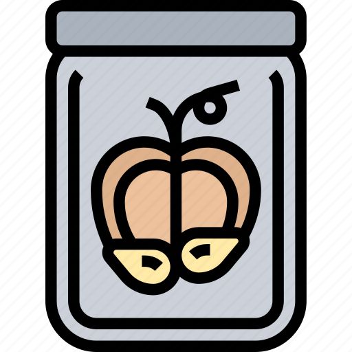Pumpkin, seeds, food, diet, snack icon - Download on Iconfinder