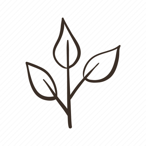 Evergreen, leaves, plant, nature, garden icon - Download on Iconfinder