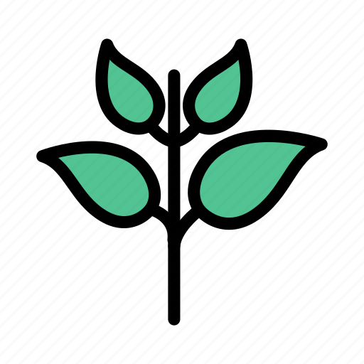 Green, leaves, nature, plant, plantation icon - Download on Iconfinder