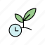time, cosuming, timer, agriculture, growing, sapling, germinate 