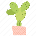 cactus, exotic, flower