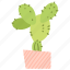 cactus, exotic, flower 
