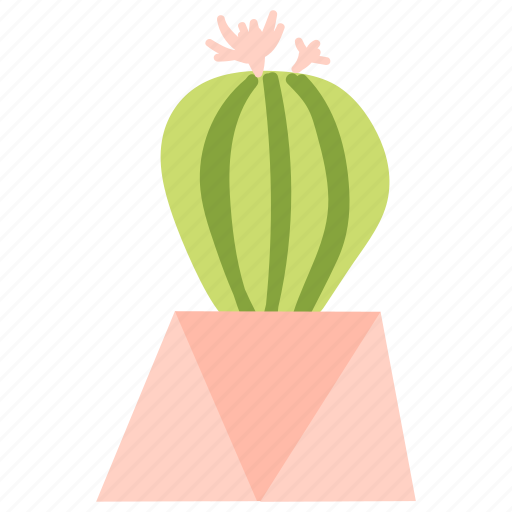 Cactus, exotic, prickly, succulent icon - Download on Iconfinder