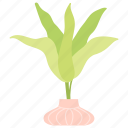 green, vase, nature, plant