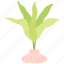 green, vase, nature, plant 