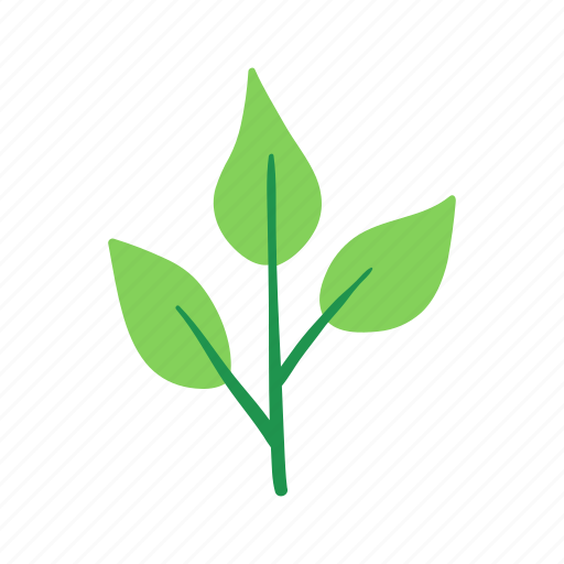 Evergreen, leaves, plant, nature, garden icon - Download on Iconfinder