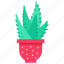 cactus, exotic, plant, succulent 
