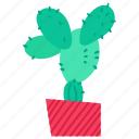 cactus, exotic, nature, plant