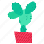 cactus, exotic, nature, plant 
