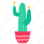 cactus, exotic, prickly, plant 