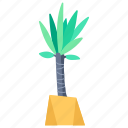 plants, nature, palm tree, tropical