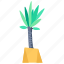 plants, nature, palm tree, tropical 