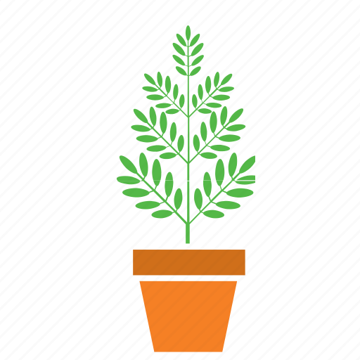 Decoration, garden, nature, plant, pot, tree icon - Download on Iconfinder