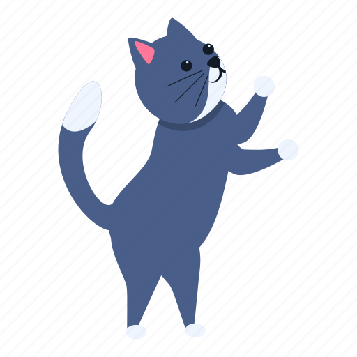 Cat, joke, funny, kitty icon - Download on Iconfinder