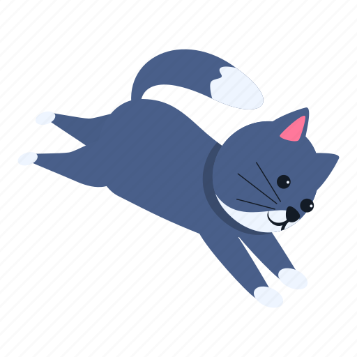 Playful, cat, running, domestic icon - Download on Iconfinder