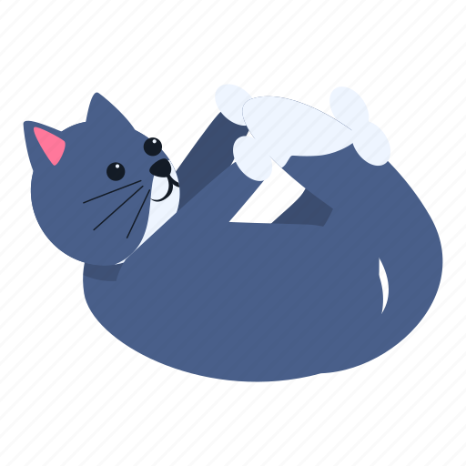 Playful, cat, happy, kitten icon - Download on Iconfinder