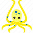 animal, mollusk, octopus, tentacles