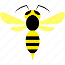 bug, buzz, insect, wasp, fly