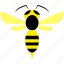bug, buzz, insect, wasp, fly 