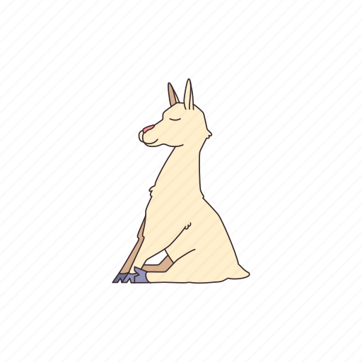 Animal, alpaca, lama, llama, mammal, relax icon - Download on Iconfinder
