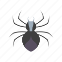 bug, evil, halloween, horror, insect, scary, spider
