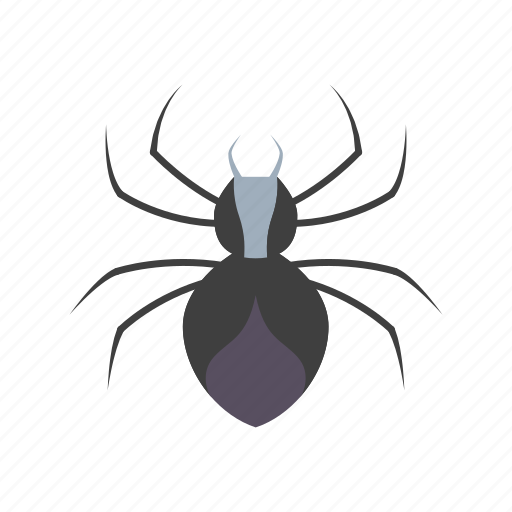 Bug, evil, halloween, horror, insect, scary, spider icon - Download on Iconfinder