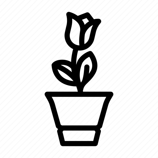 Loekaryd, potted, flower, plant, care, accessories, sansevieria icon - Download on Iconfinder