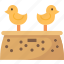 chick, box, cardboard, poultry, farming 