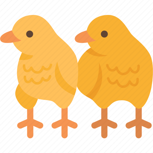 Chicks, chicken, poultry, baby, animal icon - Download on Iconfinder