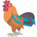 rooster, chicken, male, animal, farm