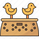 chick, box, cardboard, poultry, farming