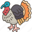 turkey, bird, avian, animal, farm 