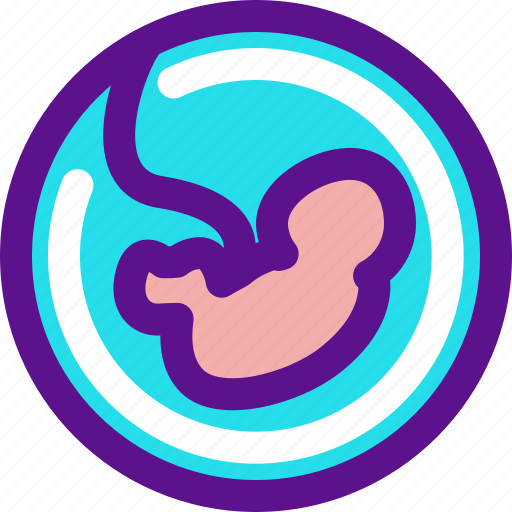 Baby, fetus, pregnant icon - Download on Iconfinder